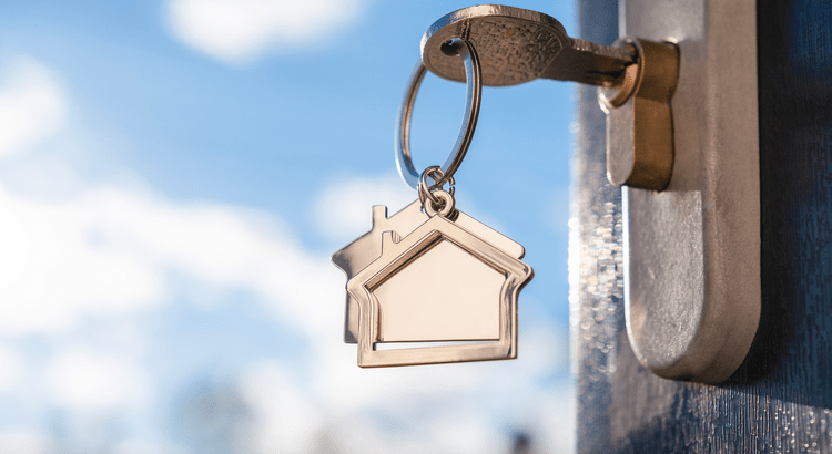 The Go-To Realtor for Competitive Home Searches